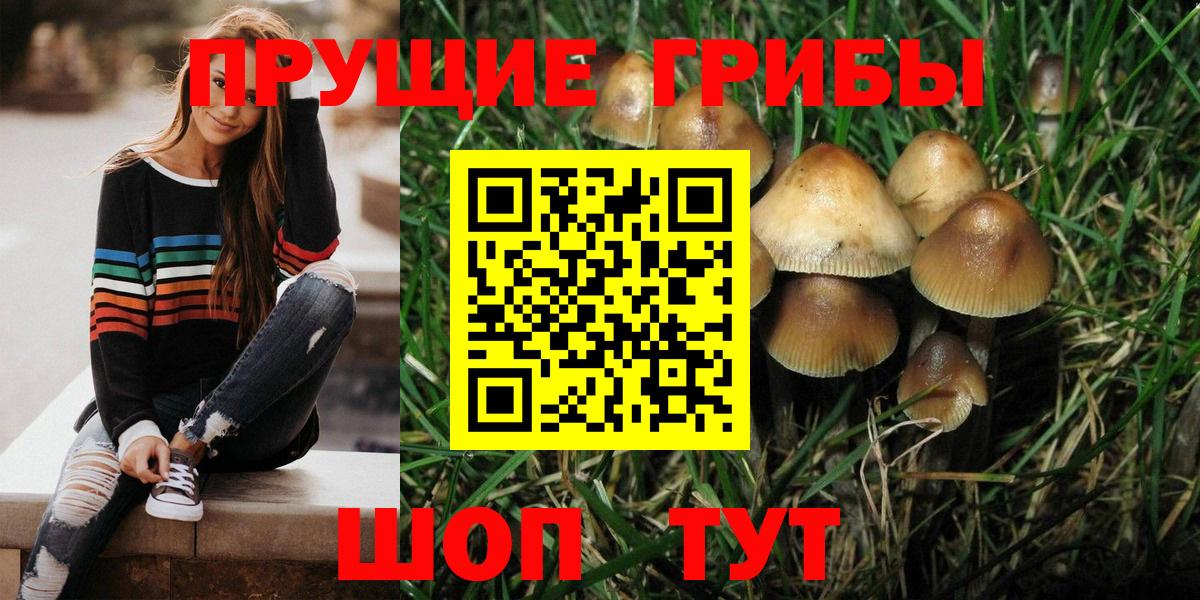 Лабинск  Галлюциногенные грибы Cubensis  Вход с VPN  Псилоцибиновые грибы мухоморы 