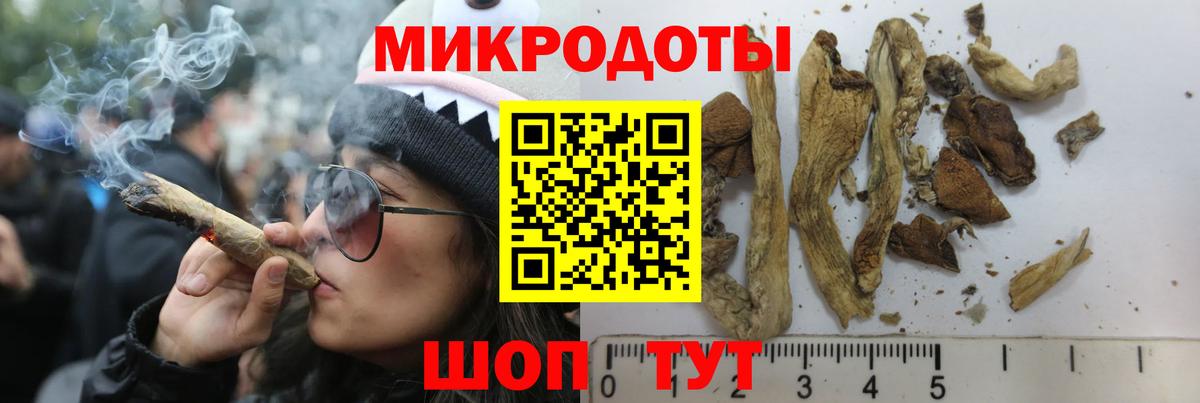 Псилоцибиновые грибы мицелий Лабинск